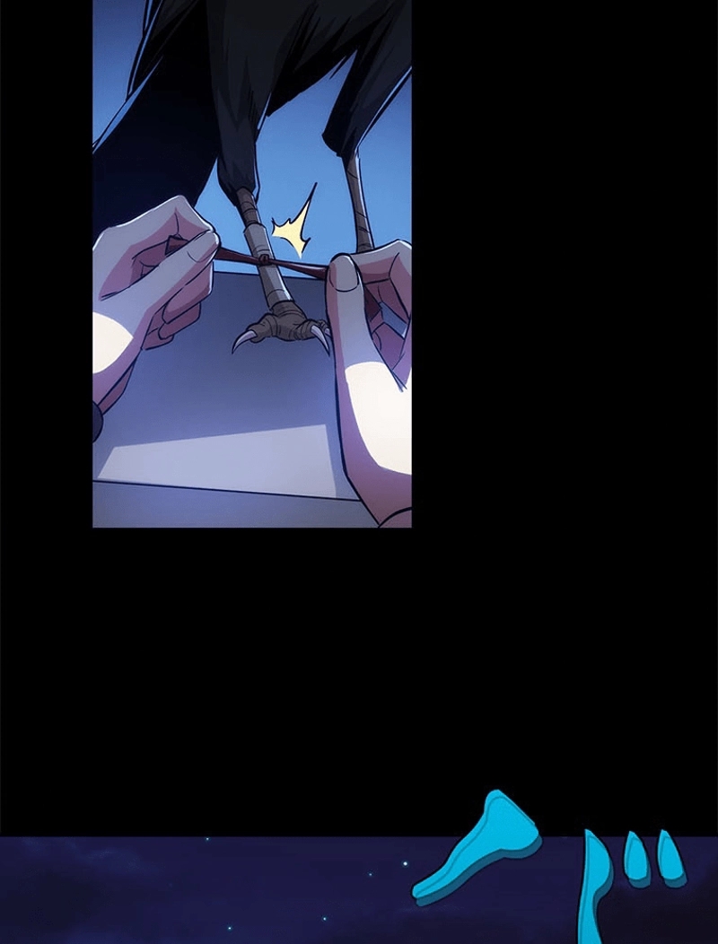 P66