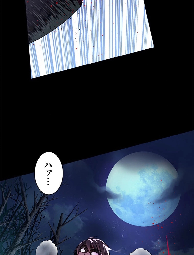P66