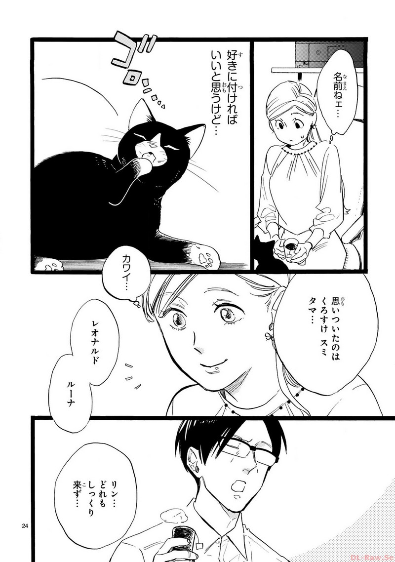 P24