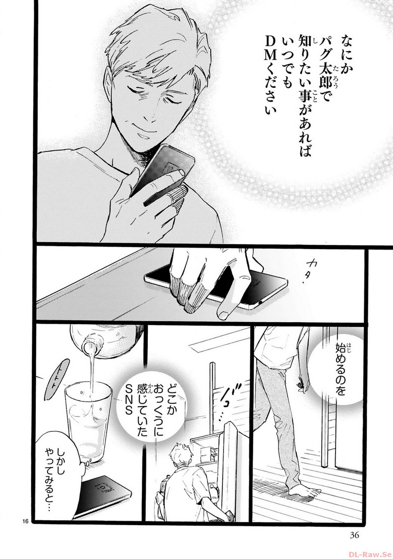 P16