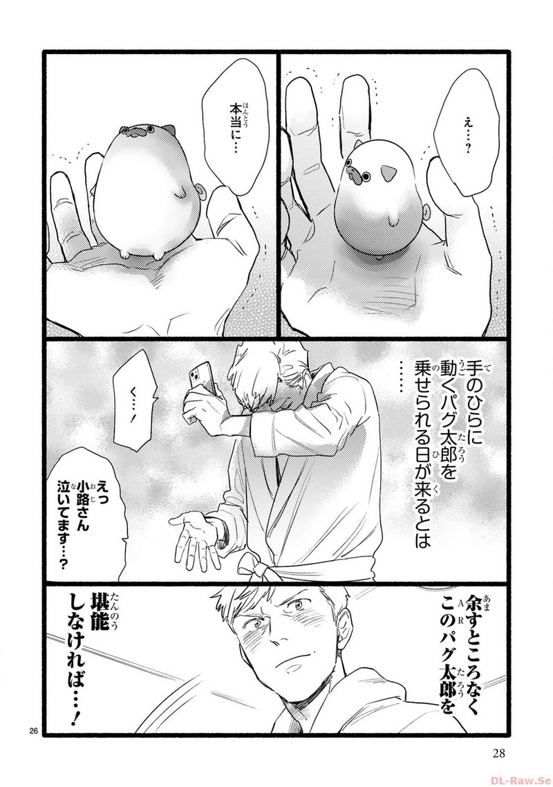 P26