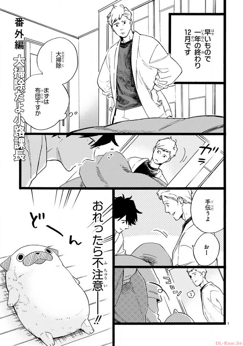 P17