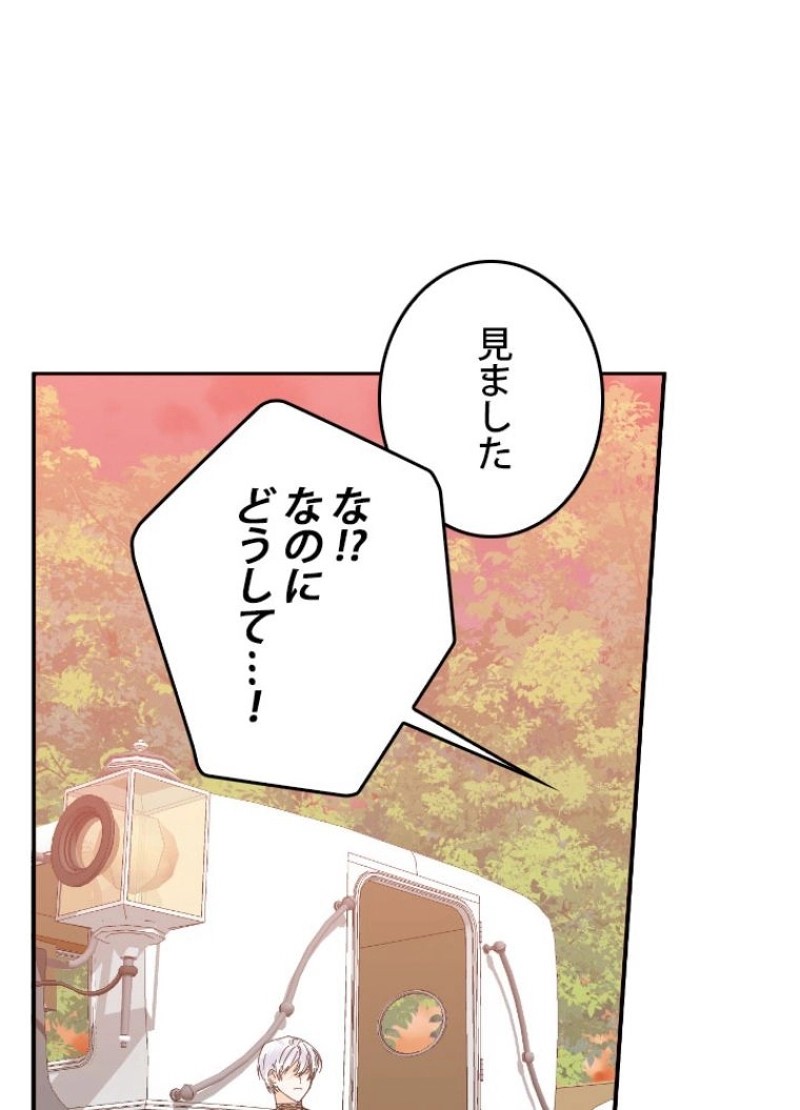 P58