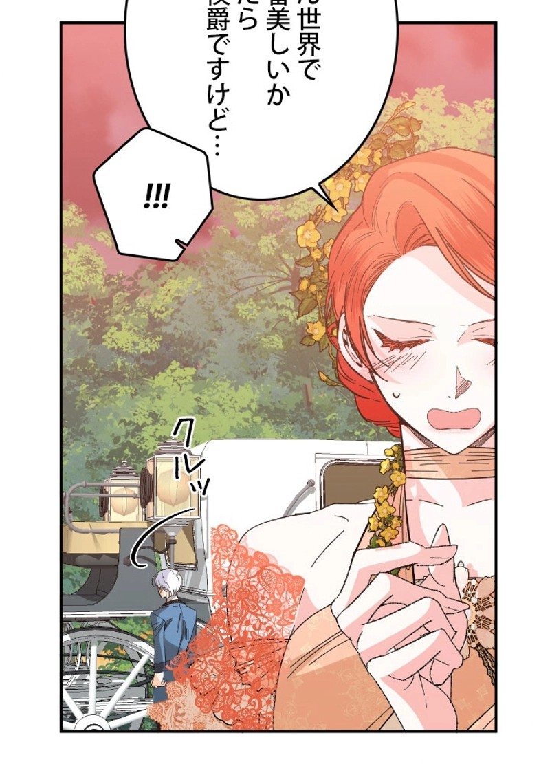 P61
