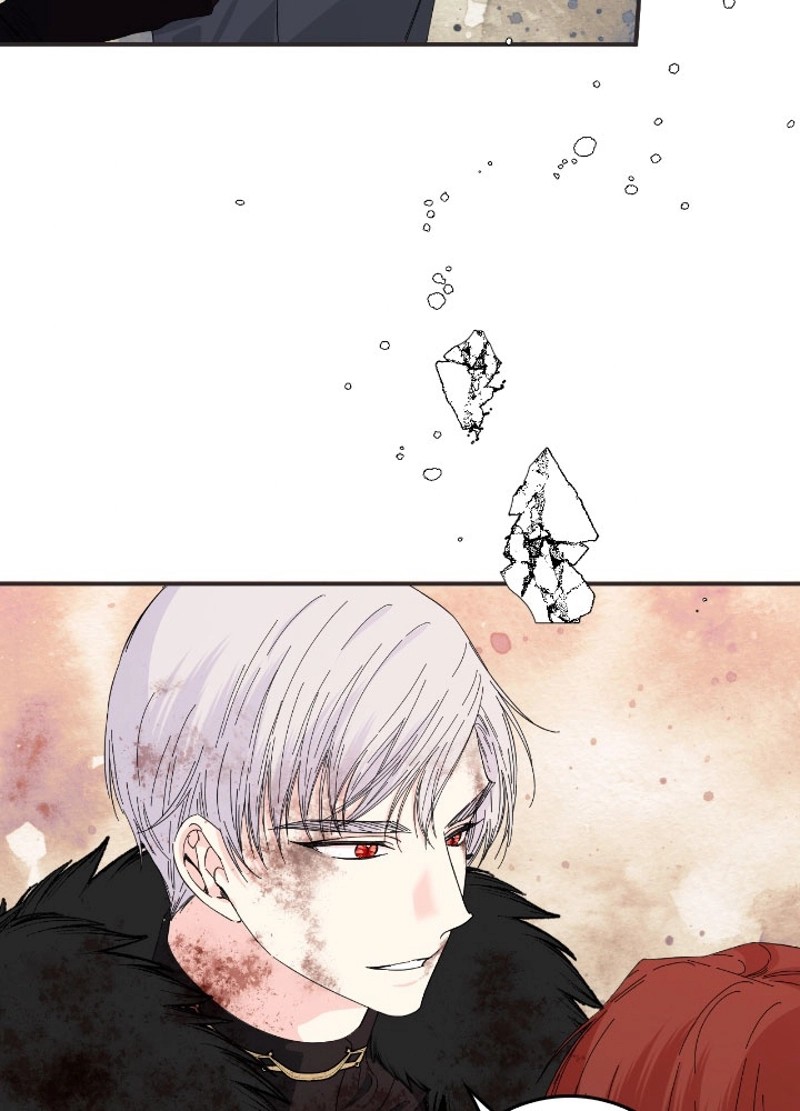 P48