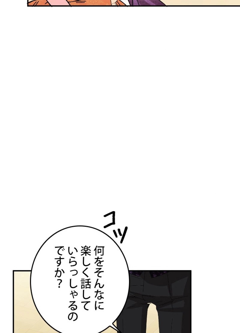 P66