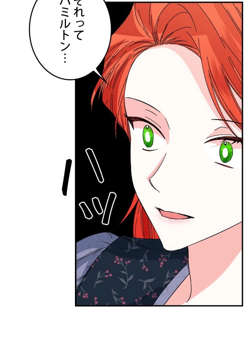 P61