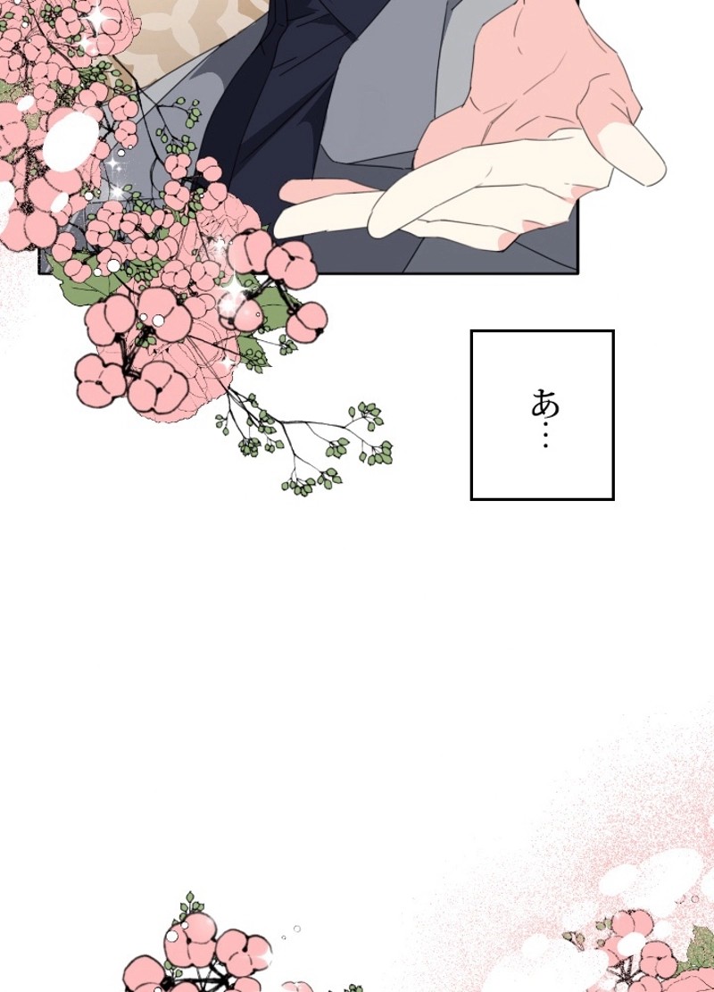 P66
