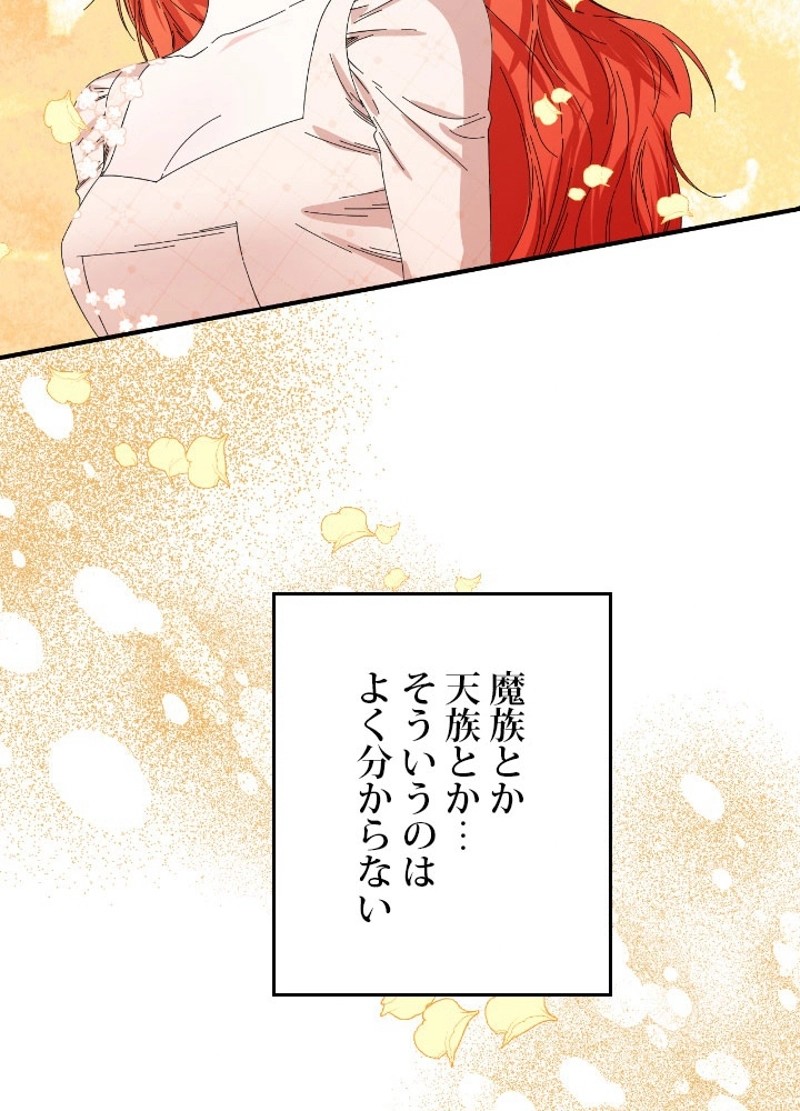 P66