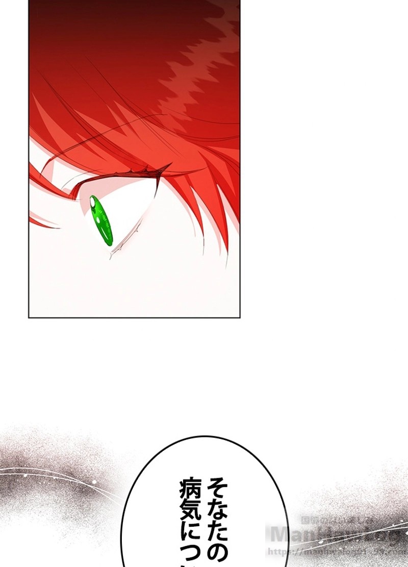 P66