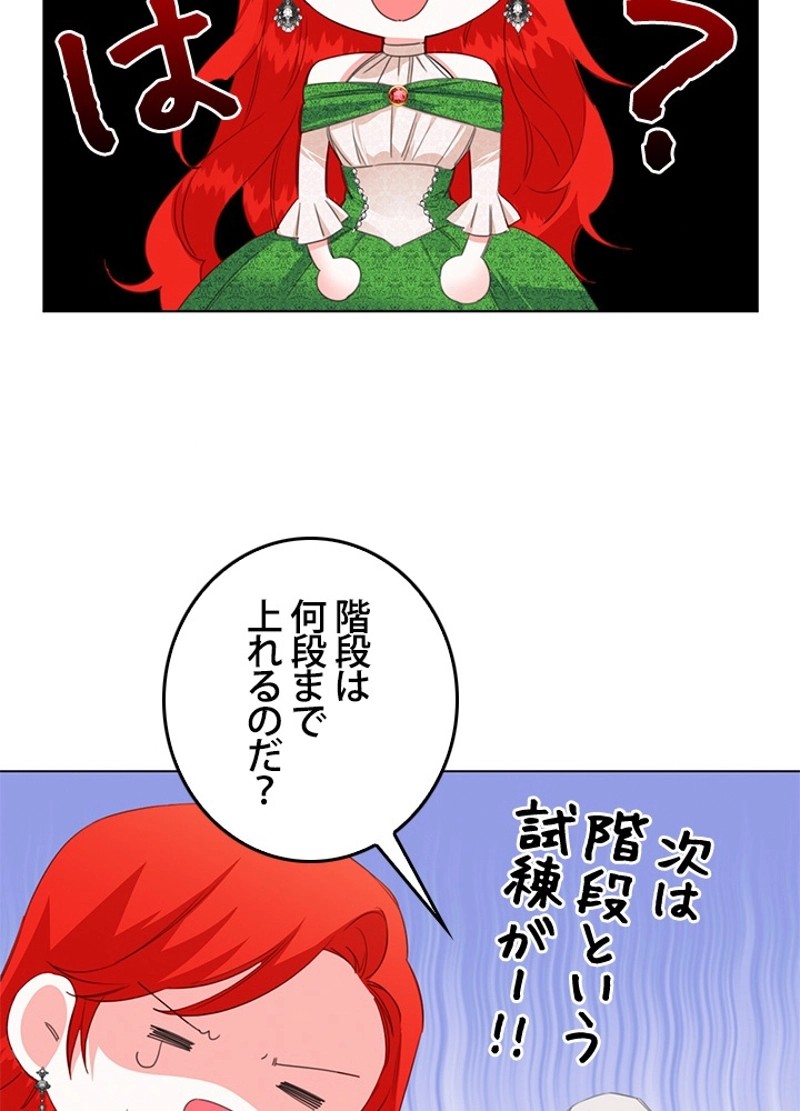 P48