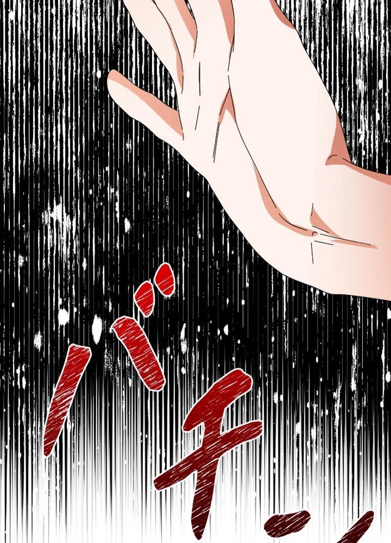 P63