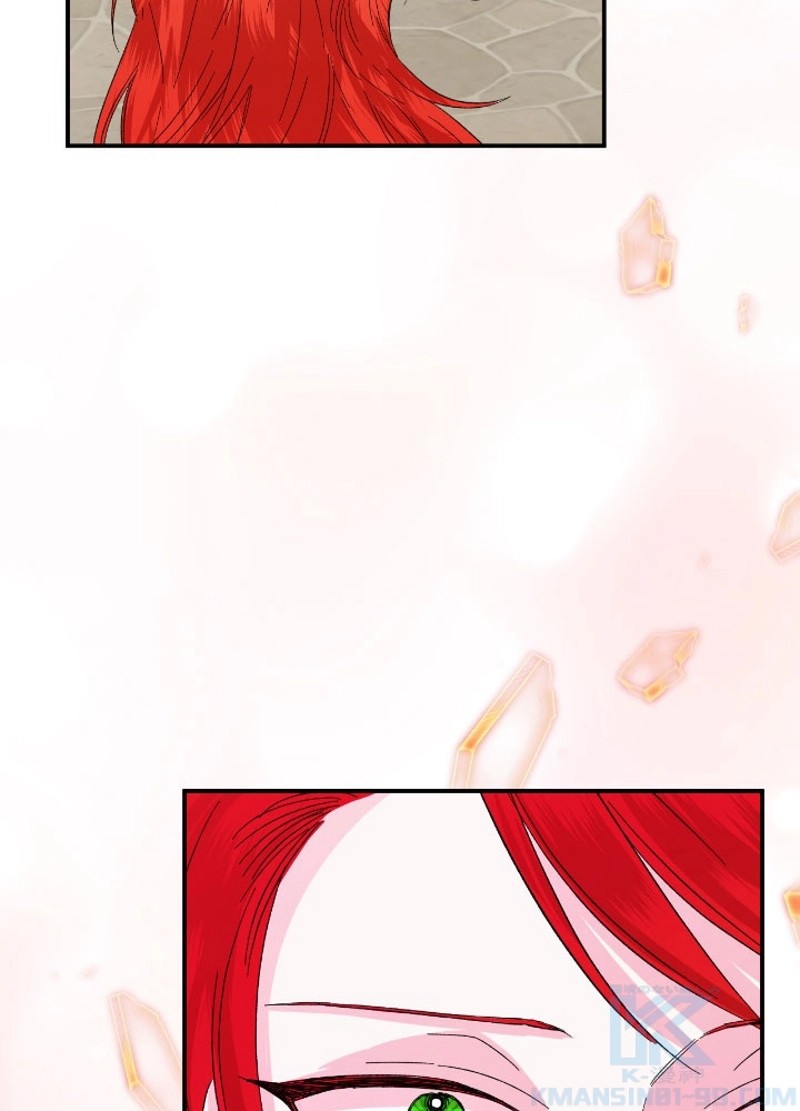 P58