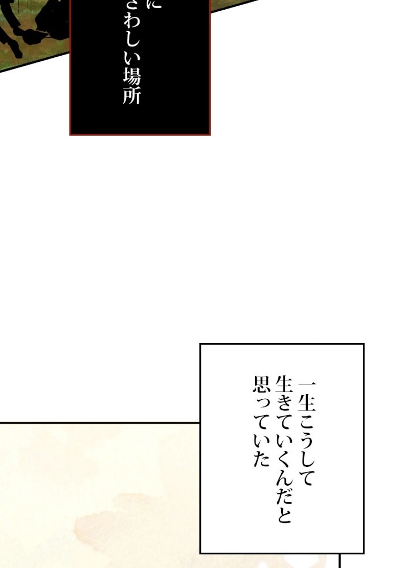 P48