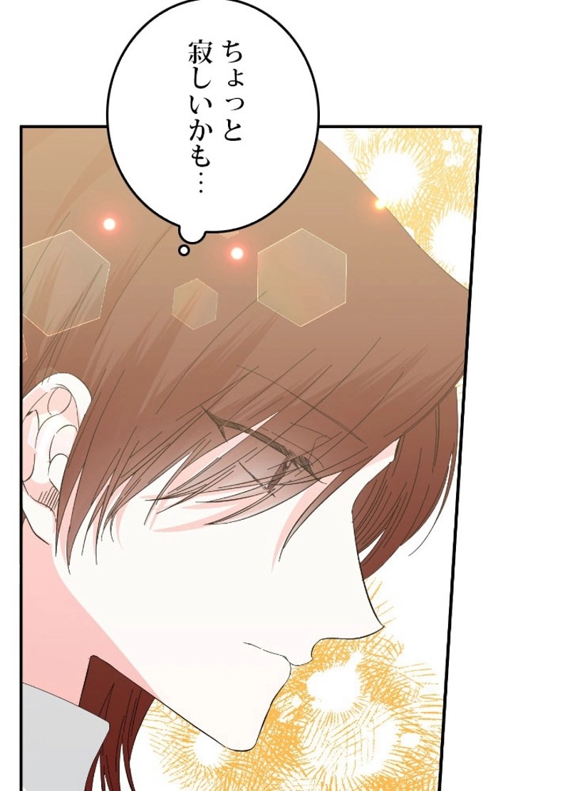 P81