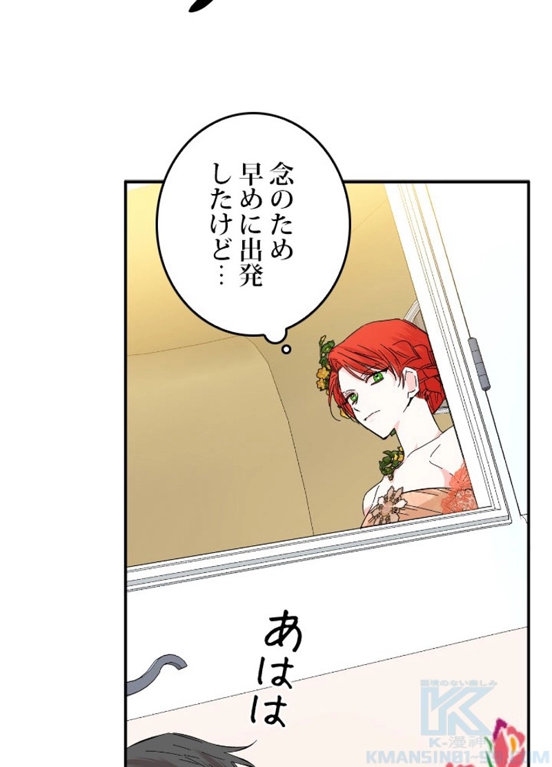 P53