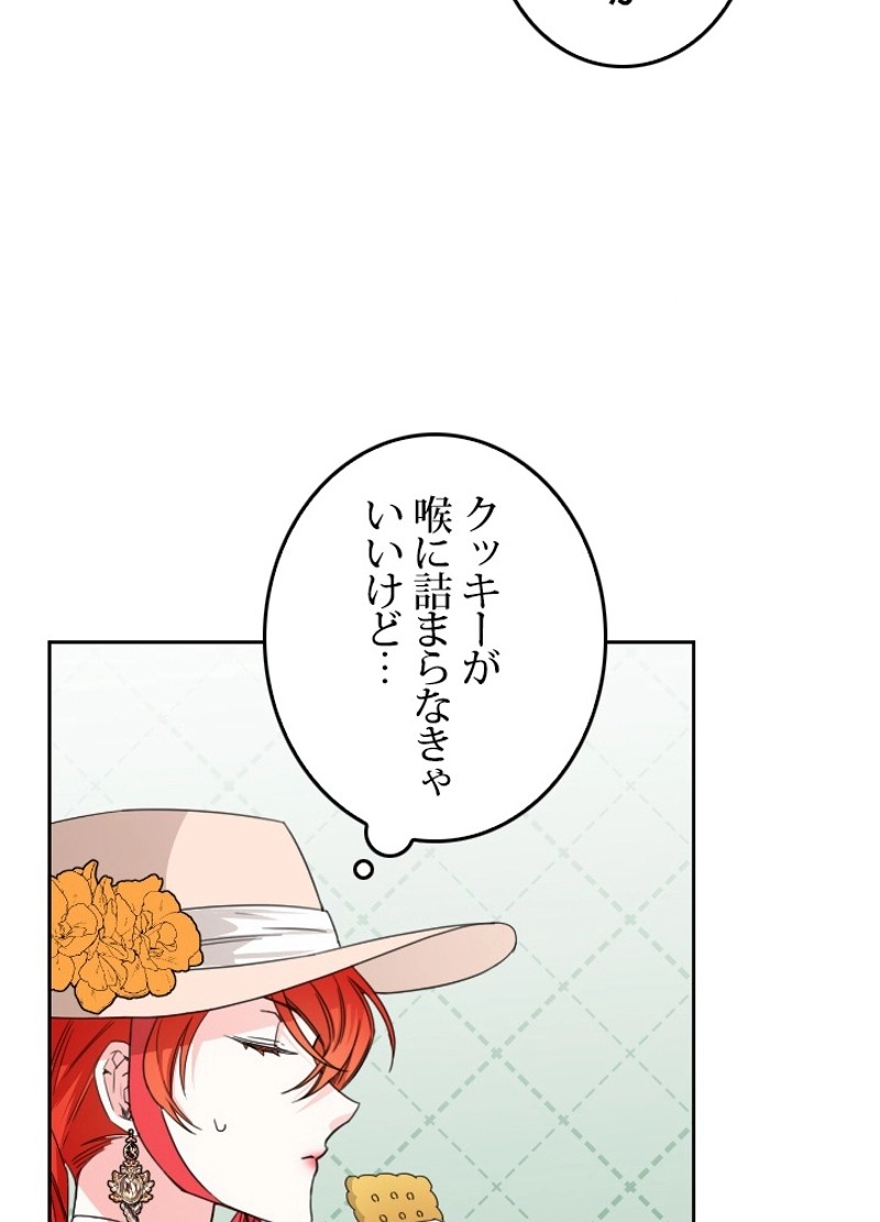 P66