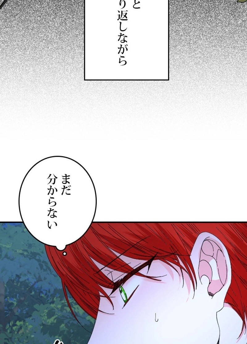 P63