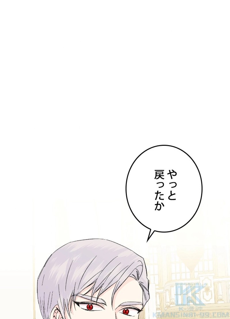 P61