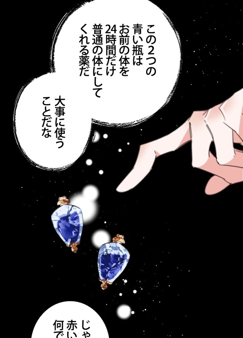 P53