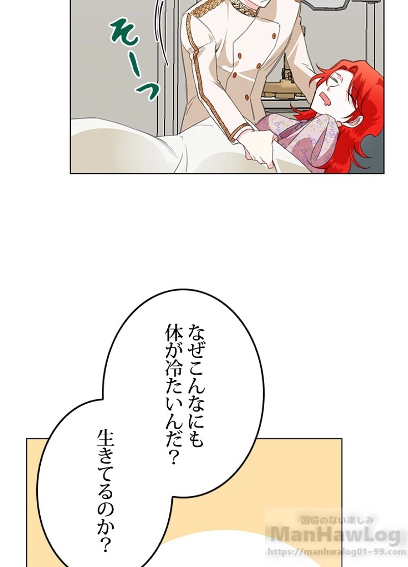 P61