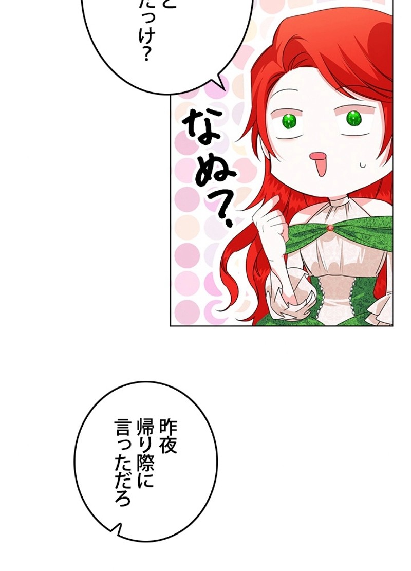 P61