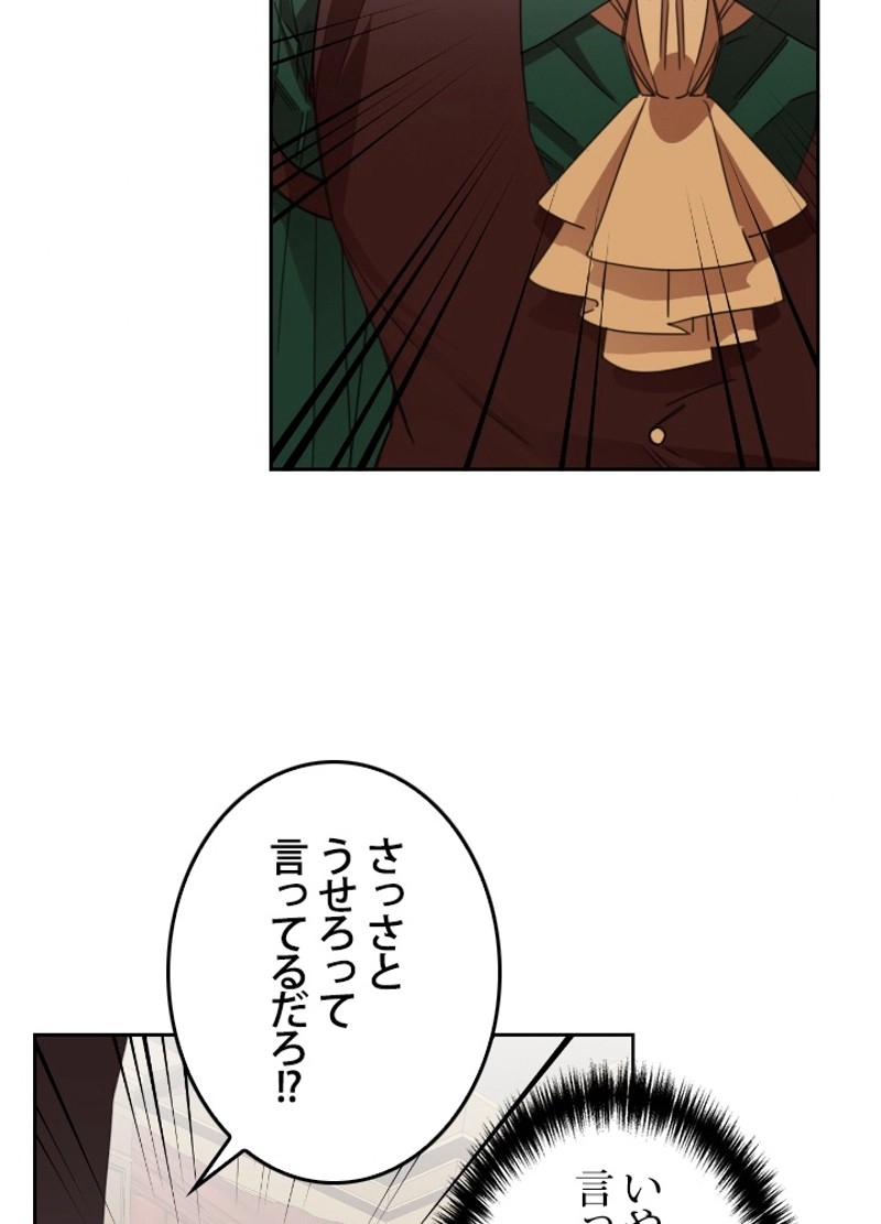 P65