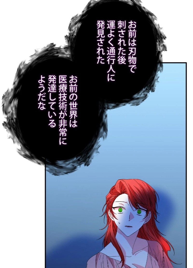 P66
