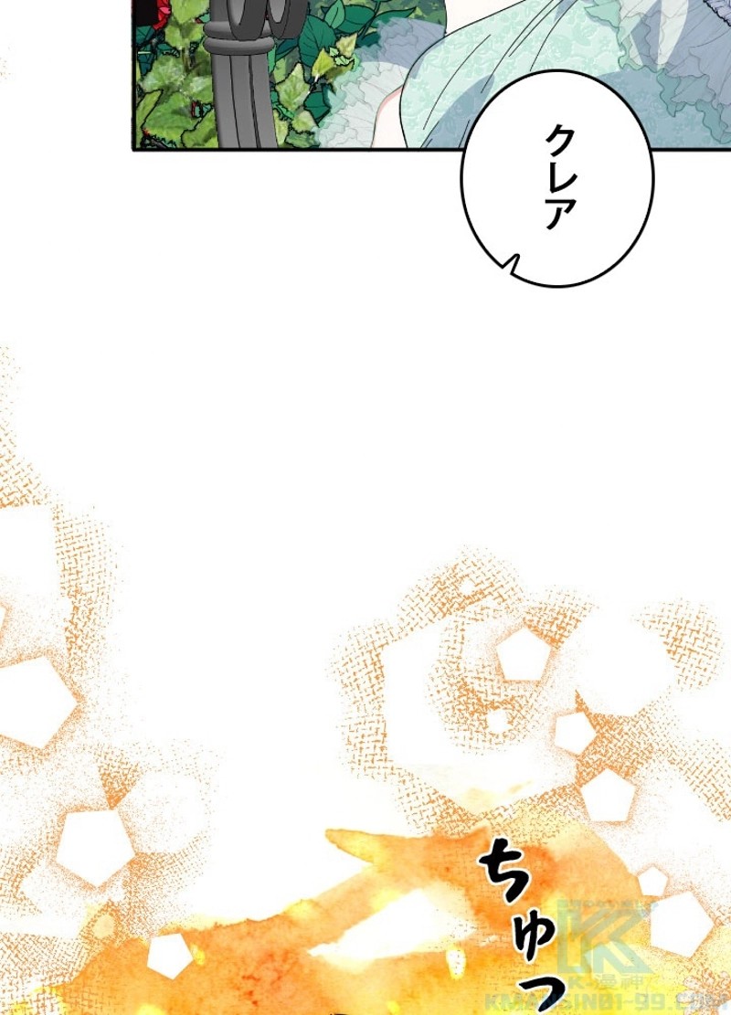 P53