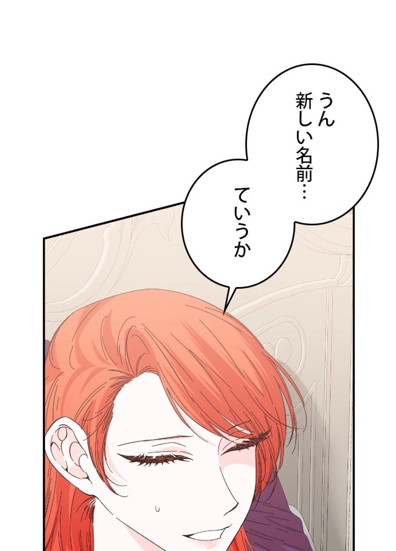 P65