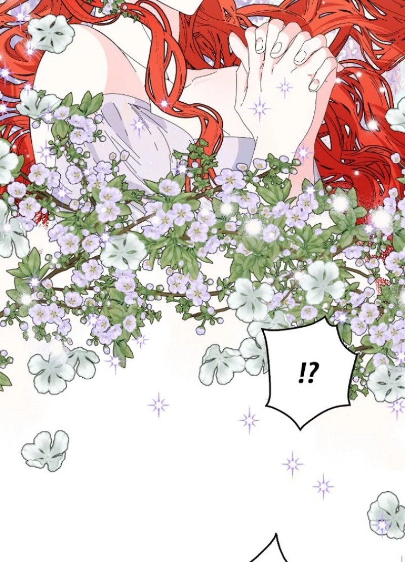 P81
