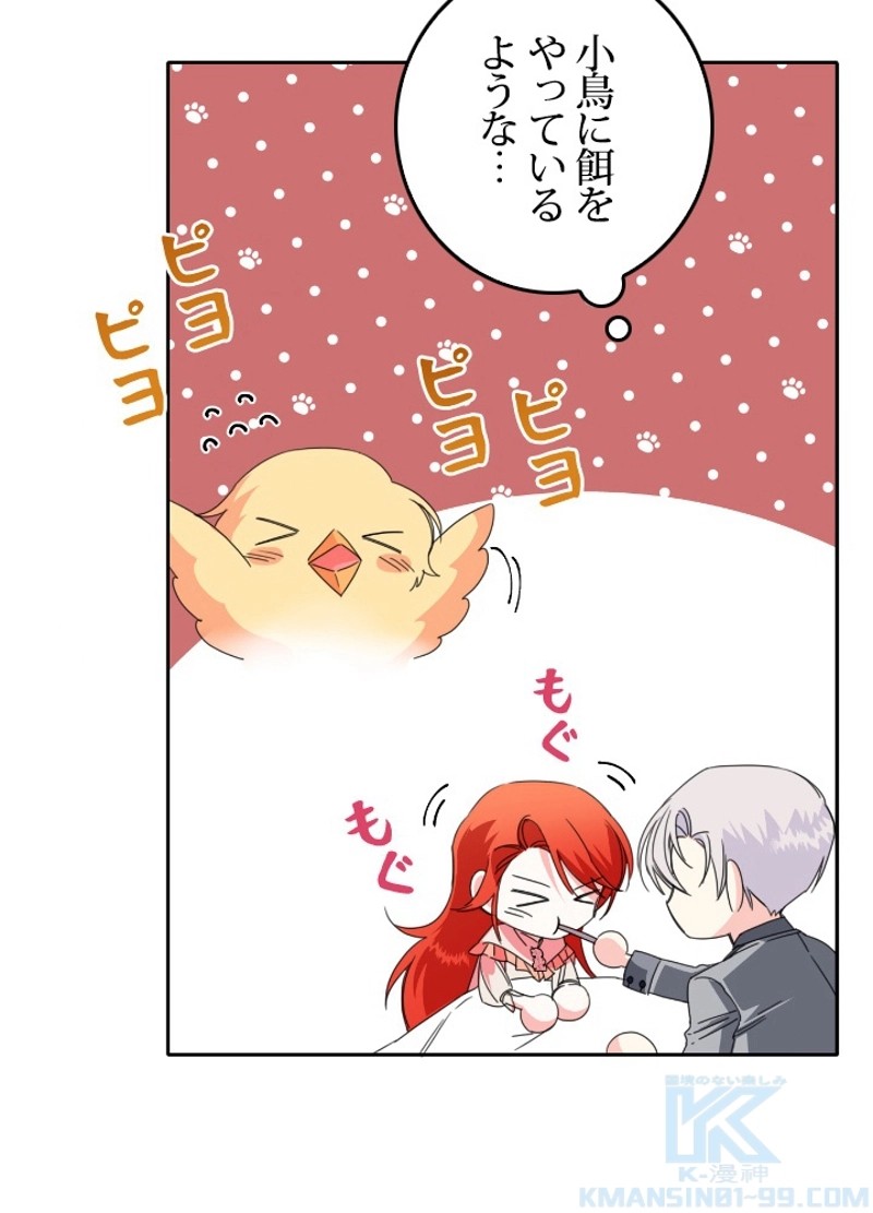 P58