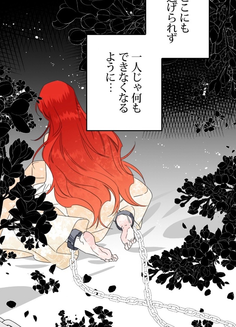P65