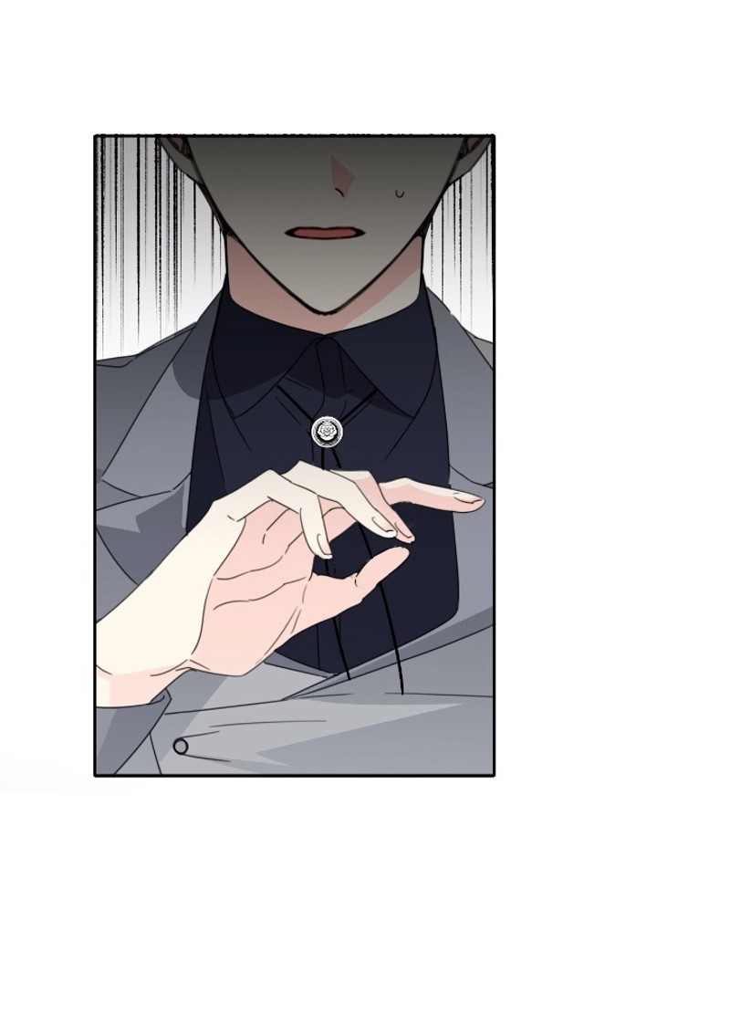 P81