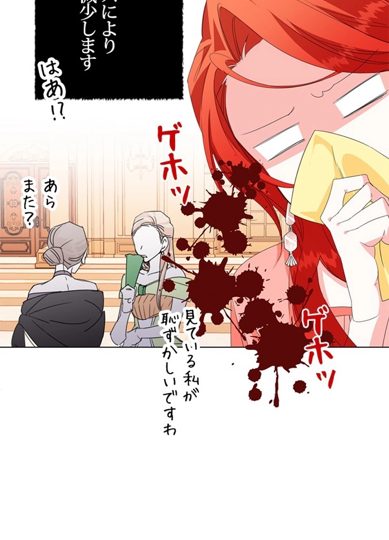 P41