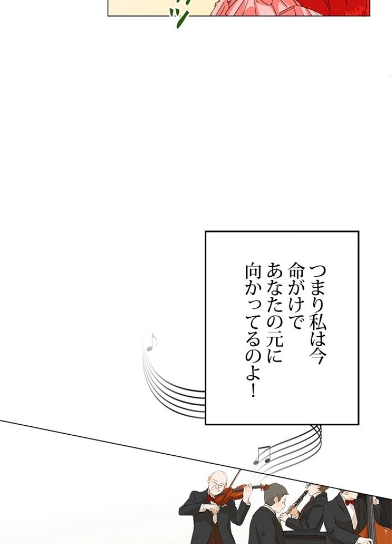 P66