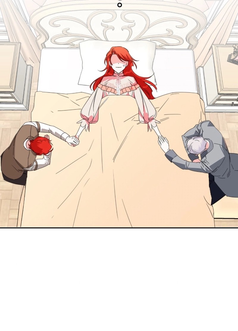 P61
