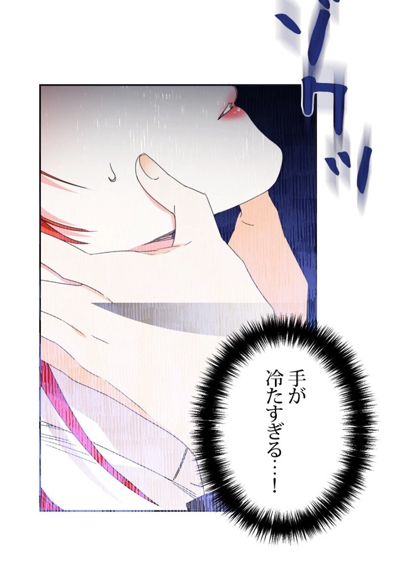 P66