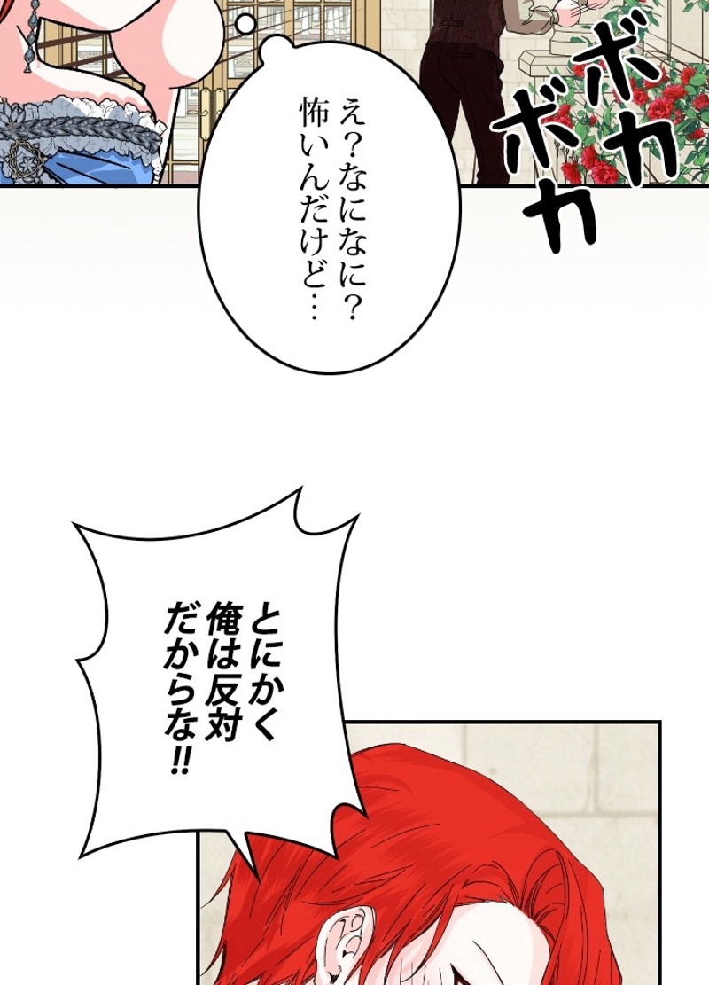 P41