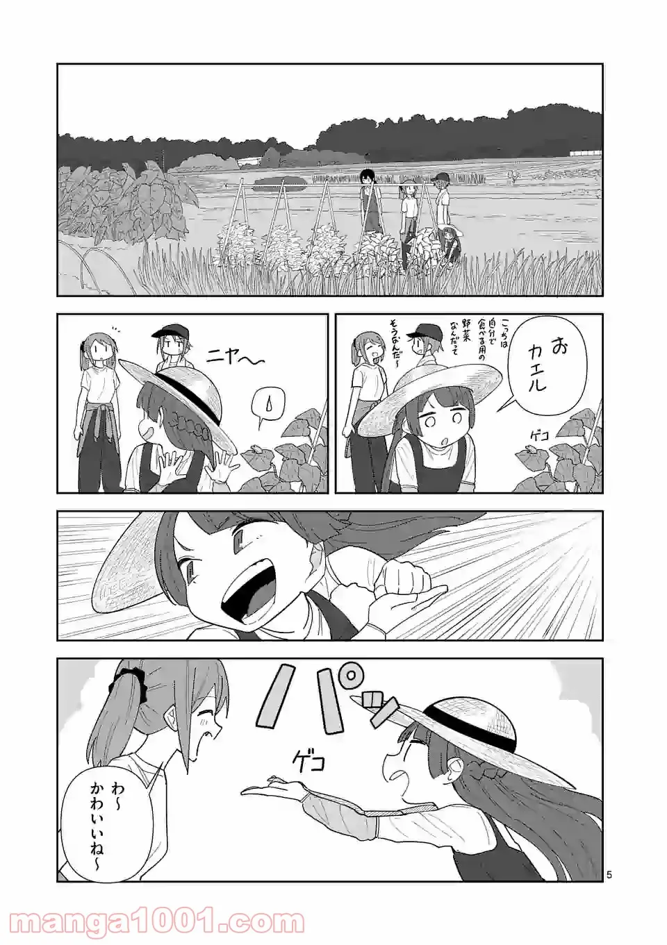 P5