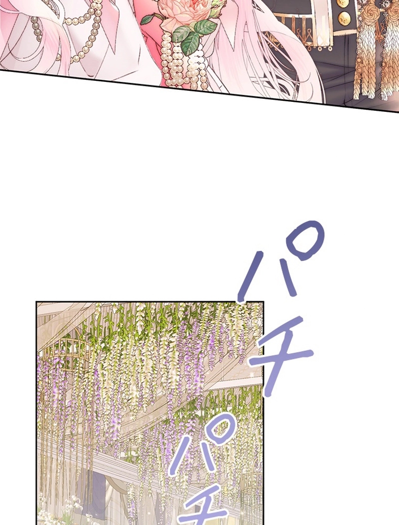 P62