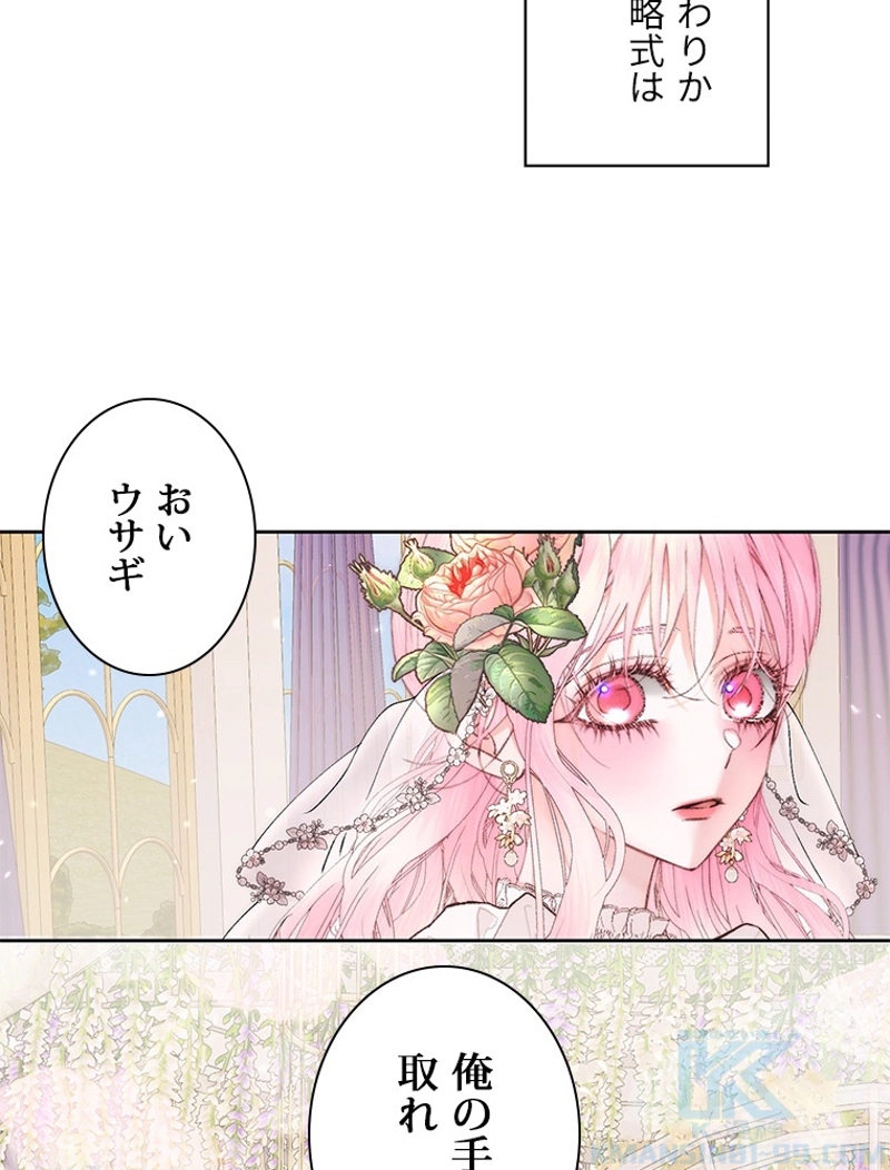P66