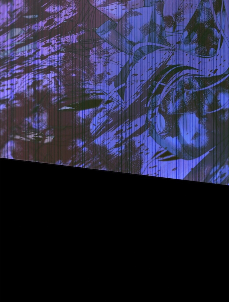 P53