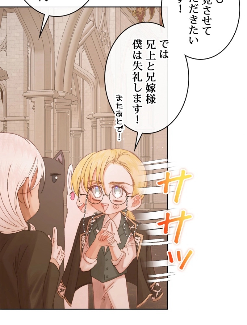 P65