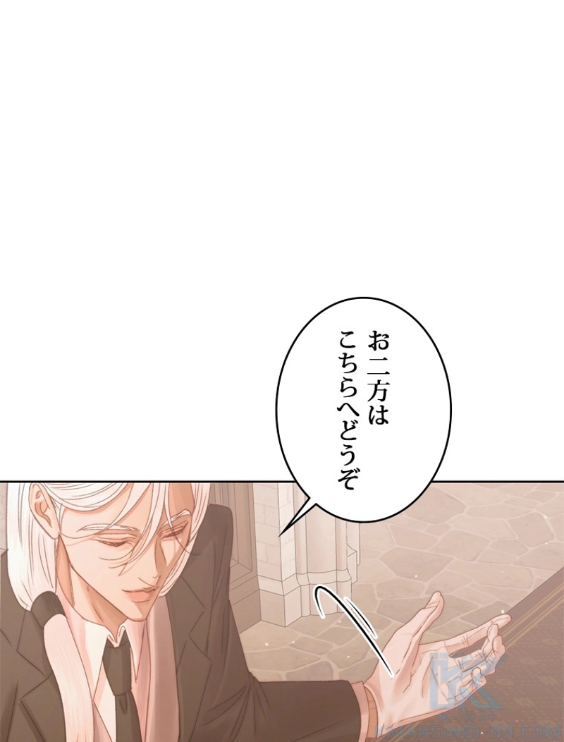 P66
