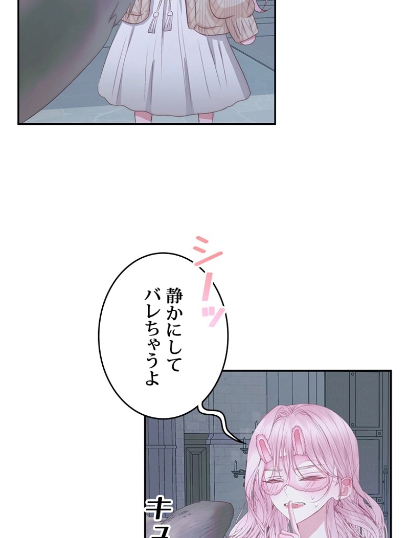 P63