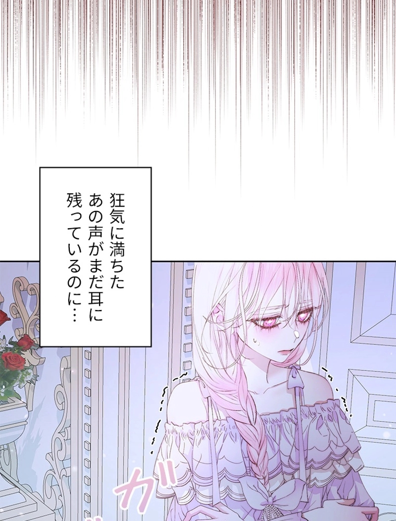 P63