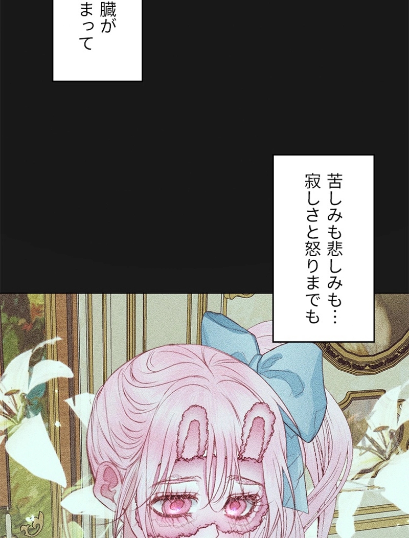 P66