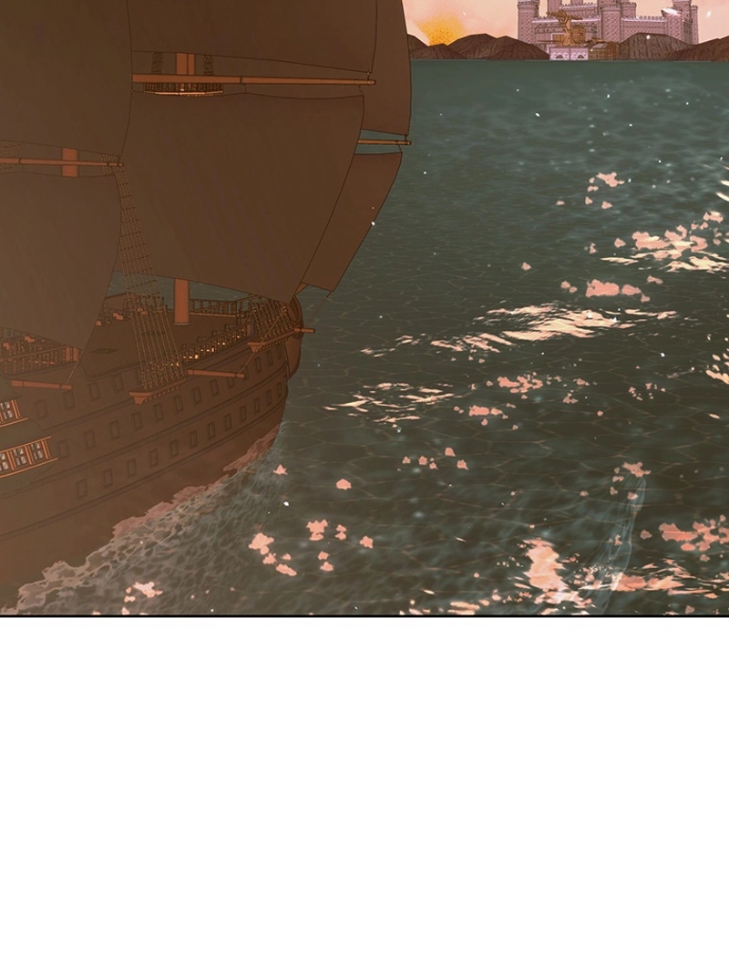 P63