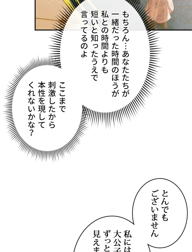 P61